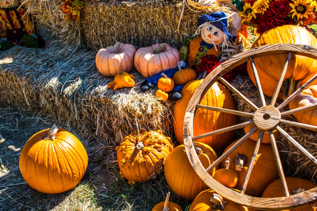 Don't Miss These Fun October Events