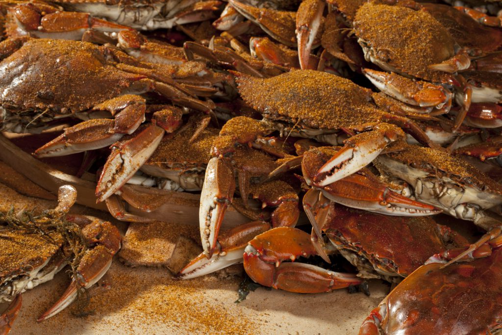 A pile of cooked blue crabs covered in Old Bay spices and ready to be eaten.