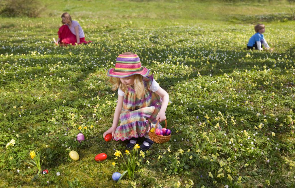 Easter egg hunt at a local park with kids finding eggs 